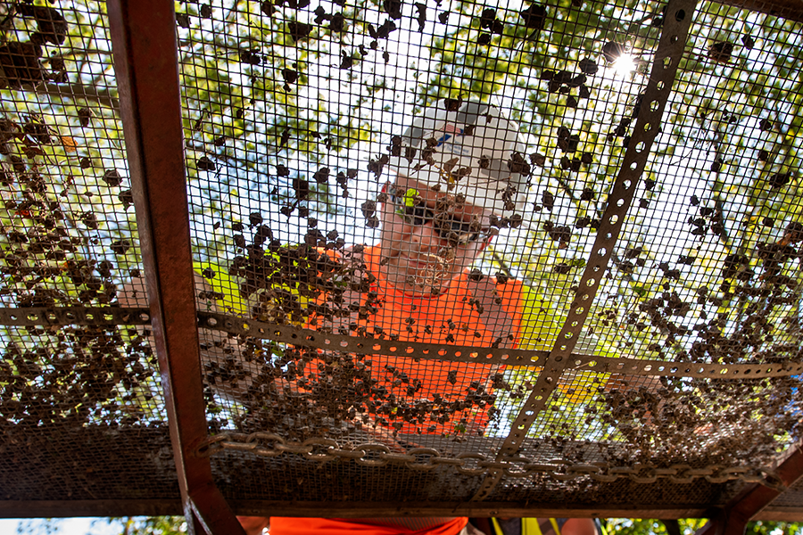 Archaeologist at dig site