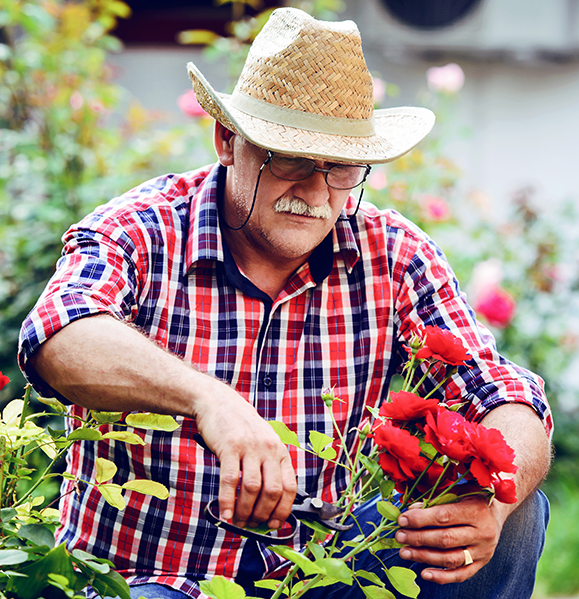 Senior man working in garden