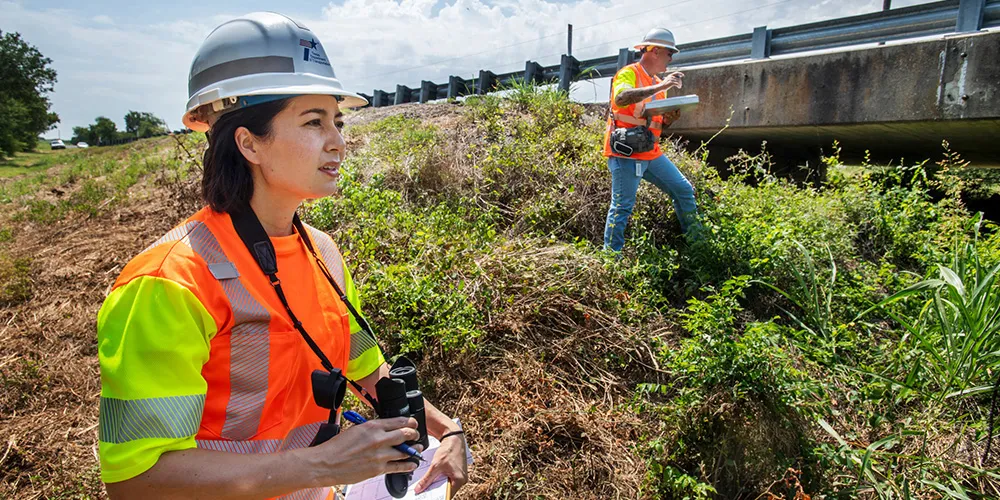 Environmental specialist surveys land