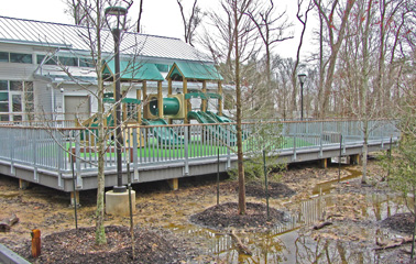 View of a playground nested among new and existing trees