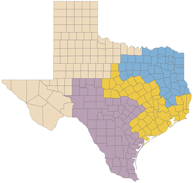Texas AVN Regions
