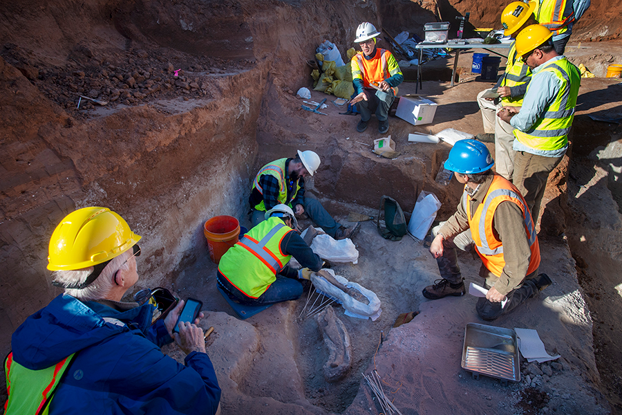 Lubbock archeological dig workers