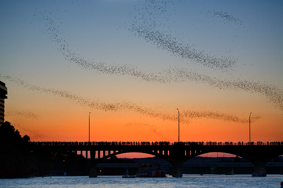 silhouette people and bats on bridge 