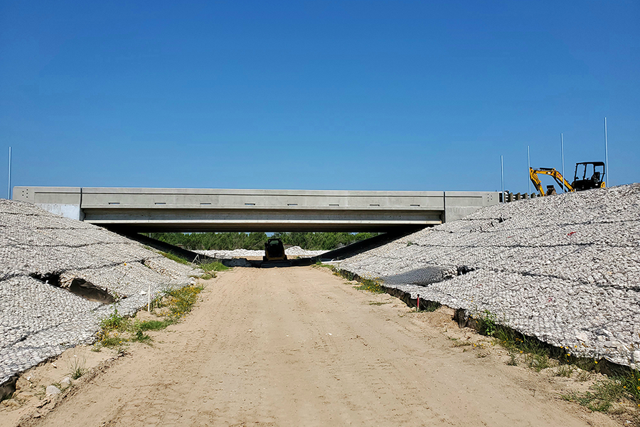 Animal crossing under roadway