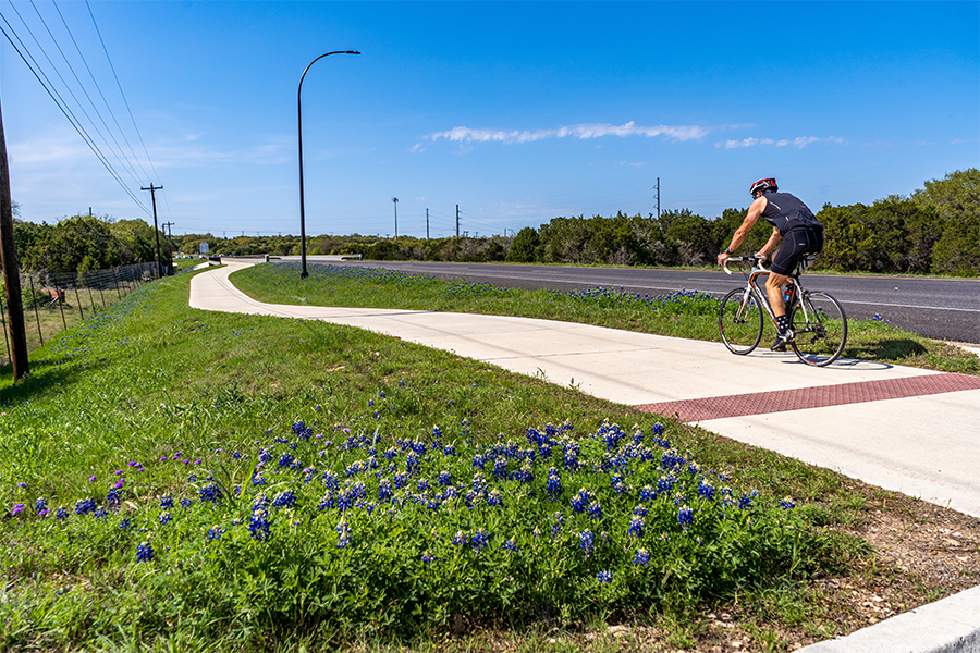 Cyclist riding bike past patches of bluebonnets