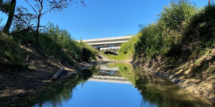 Creek with vegetation