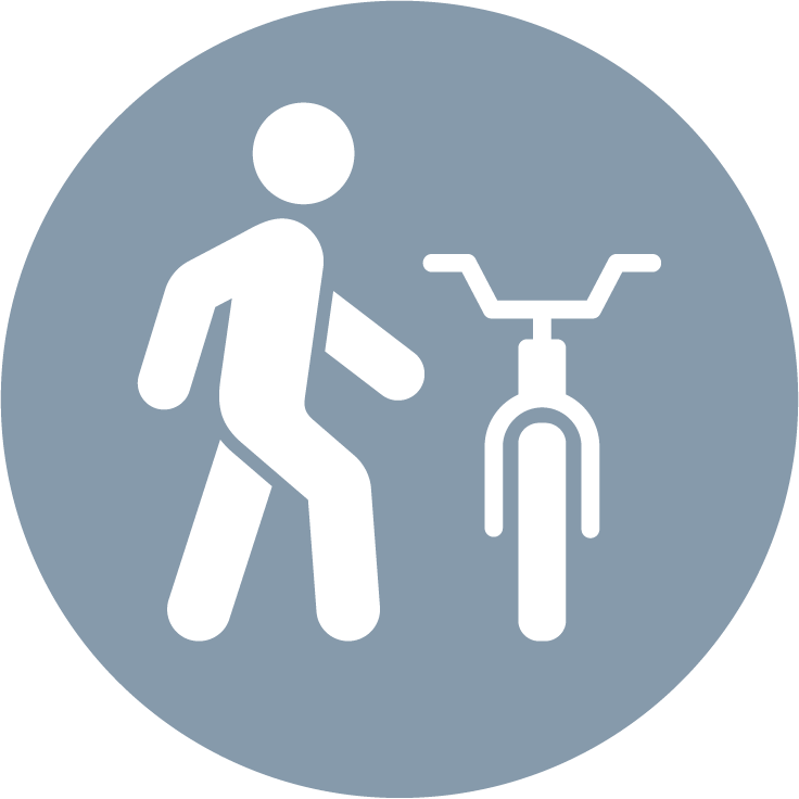 Bike / Ped icon