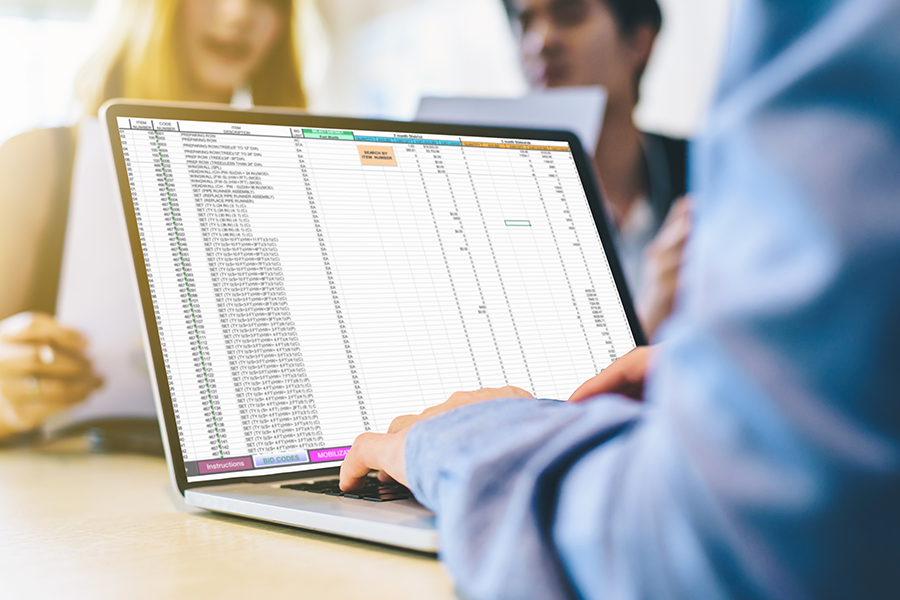 People with laptop displaying spreadsheet