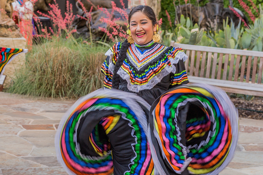 Bailarina en la fiesta de San Antonio