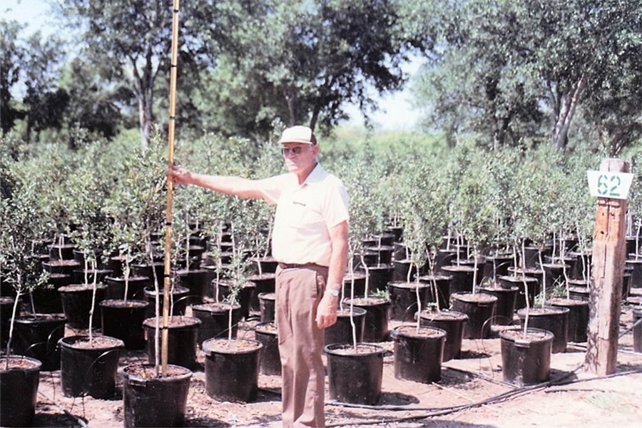 Arbor Day Man measuring small trees in potting containers.