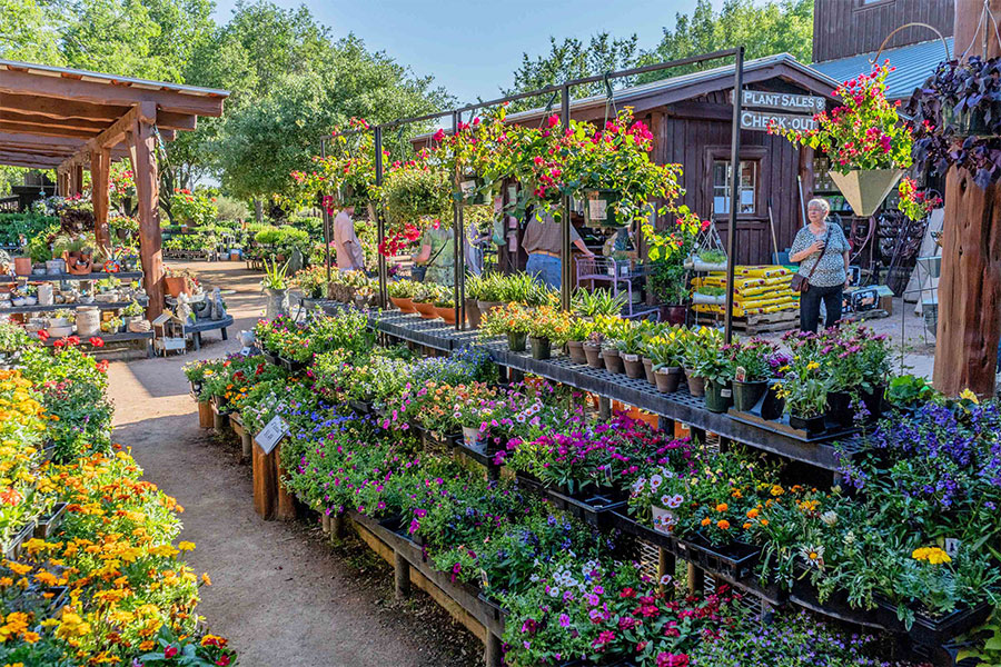 Wildflowers  Home & Garden Information Center