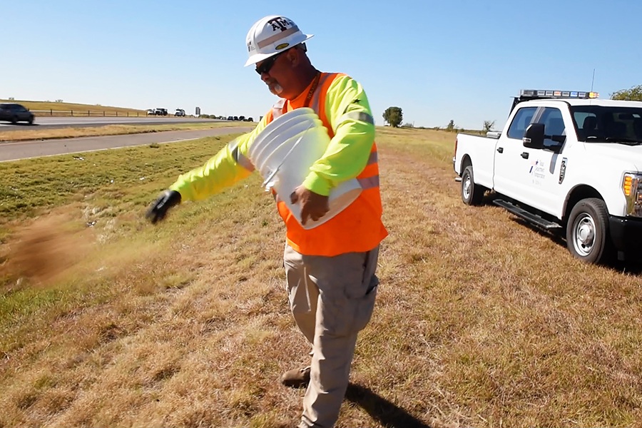 TxDOT employee spreading wildflower seeds along the highway