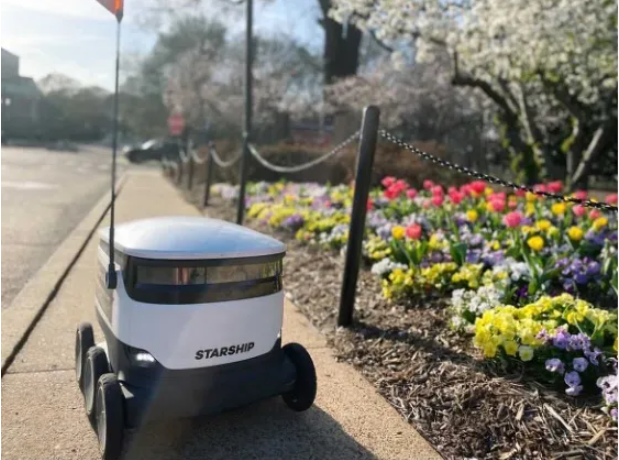 Starship delivery bot on sidewalk