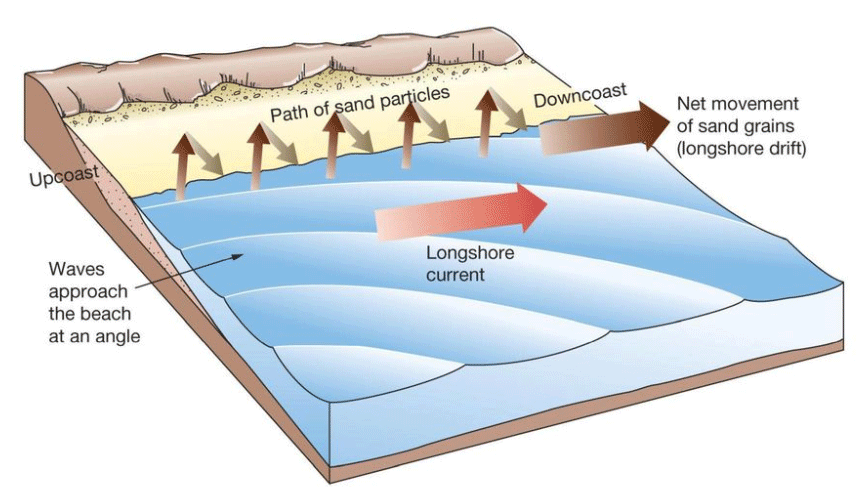 Diagram of Longshore Currents (Pearson Education, Inc., 2011) (click in image to see full-size image)