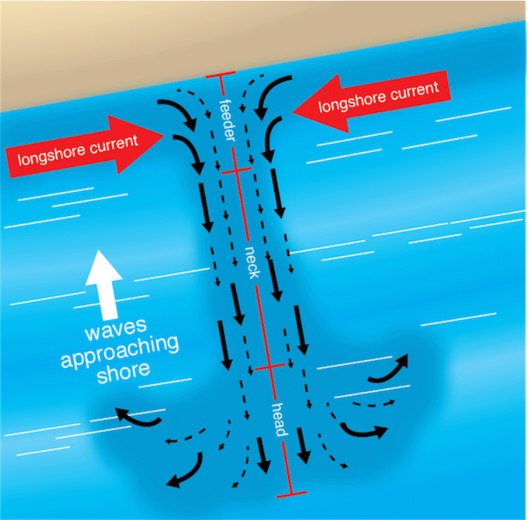 Diagram of Rip Currents (University of Hawaii, n.d. Wave-Coast Interactions) (click in image to see full-size image)