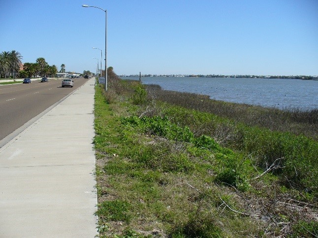  (click in image to see full-size image)