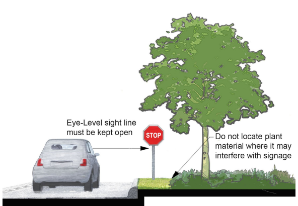 Clear Zone – Select and maintain plants at intersections that provide open visibility in all directions.