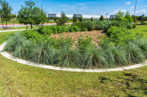 Concrete Landscape Edging