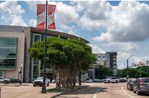 Median planting can add color and visual separation between driving lanes.