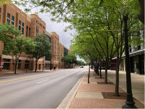 Street trees