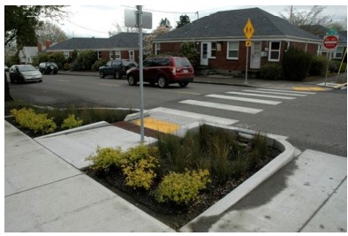 A Curb Extension with Landscaping ( click in image to see full-size image)
