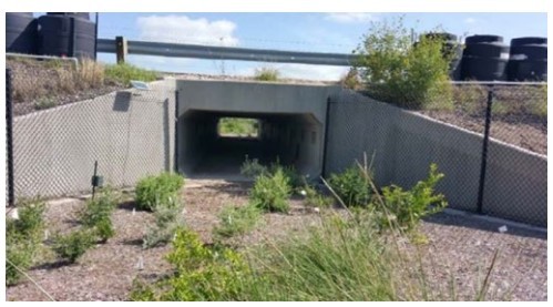 Culvert Wildlife Crossing Without Water Flow ( click in image to see full-size image)