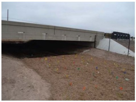 Wildlife Underpass Crossing ( click in image to see full-size image)