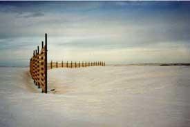 Wood Fence, courtesy University of Minnesotaand Minnesota DOT. (click in image to see full-size image)