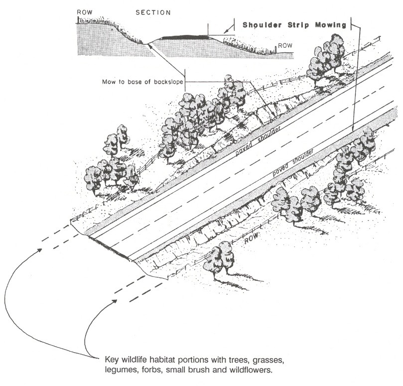 Cut and Fill Sections. (click in image to see full-size image)