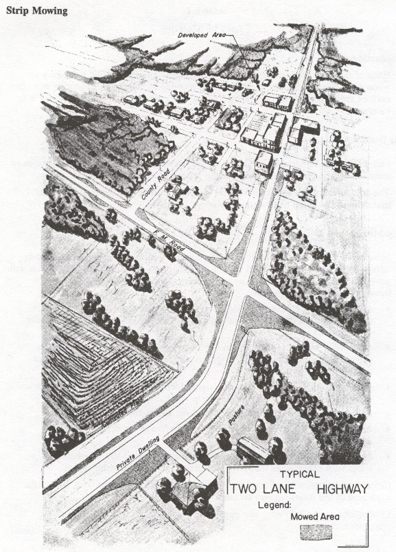 Strip Mowing. (click in image to see full-size image)