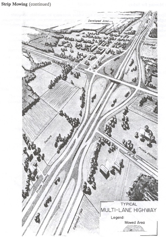 Strip Mowing. (click in image to see full-size image)