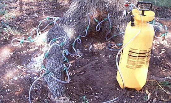 Hose harness, injectors and pressurized application tank for Alamo fungicide. (click in image to see full-size image)