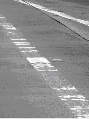 Major thermoplastic failure on concrete. (click in image to see full-size image)