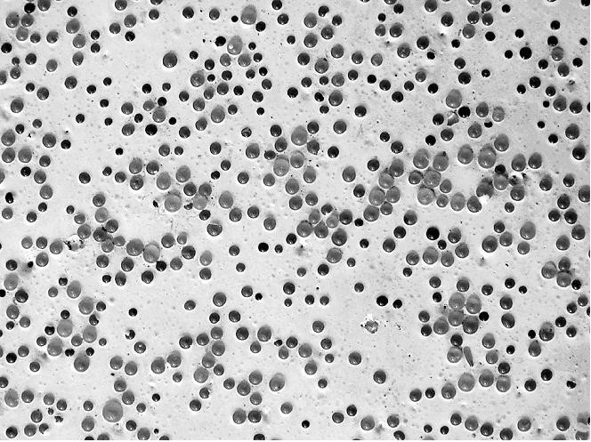 Good glass-bead dispersion for Type III beads in thermoplastic. (click in image to see full-size image)