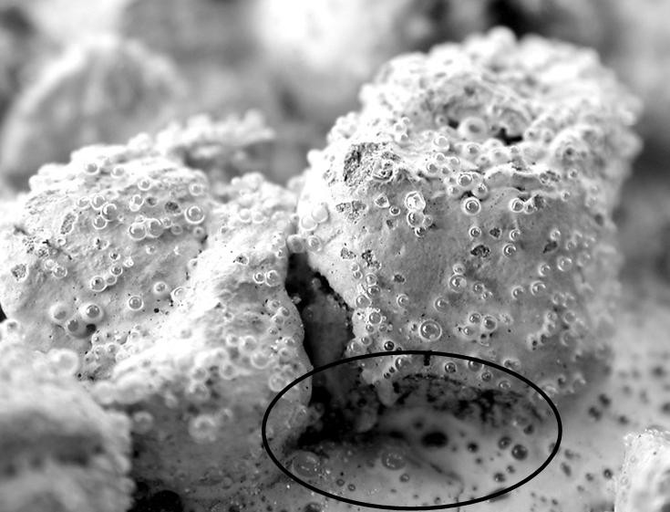 Beads falling between aggregates. (click in image to see full-size image)