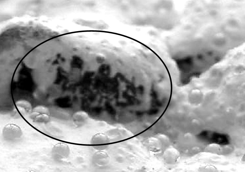 Poor material coverage on backside of aggregate. (click in image to see full-size image)