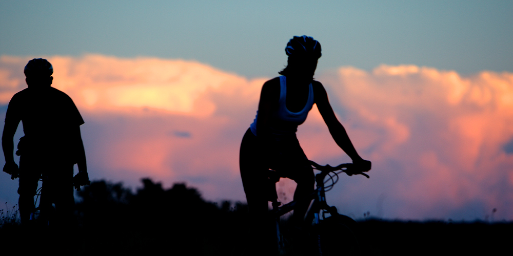 Cyclists on bicycle trail