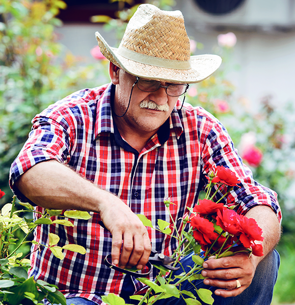 Hombre mayor que trabaja en el jardín